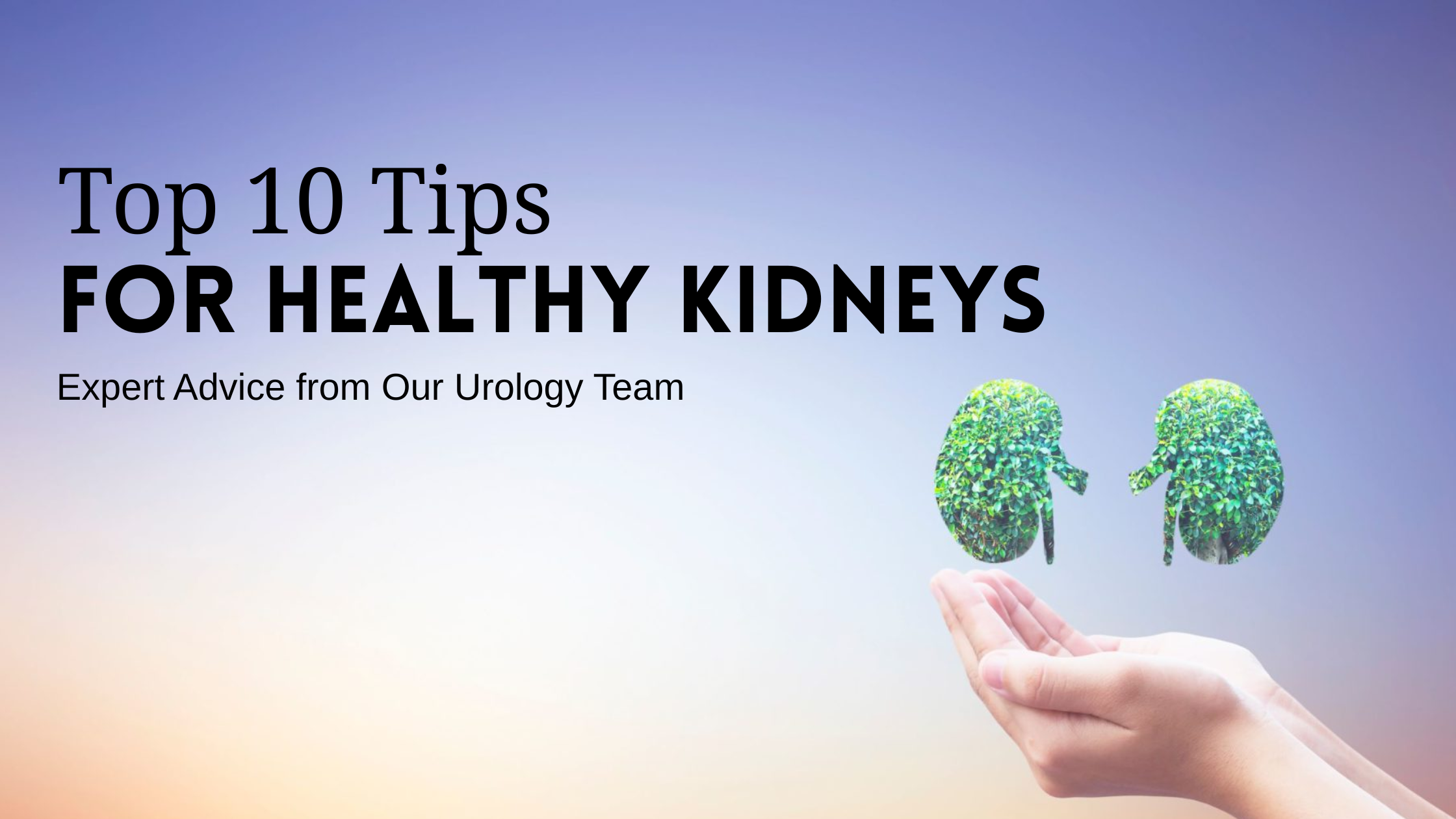 Read more about the article Top 10 Tips for Healthy Kidneys — Expert Advice from Our Urology Team